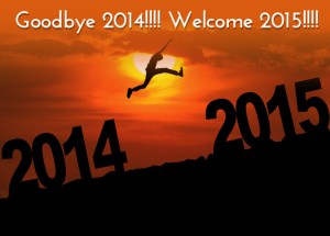 Goodbye 2014 Welcome 2015 - BLOG