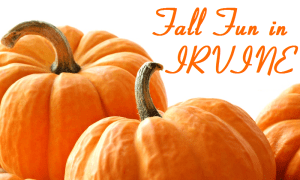 Fall Fun in Irvine image